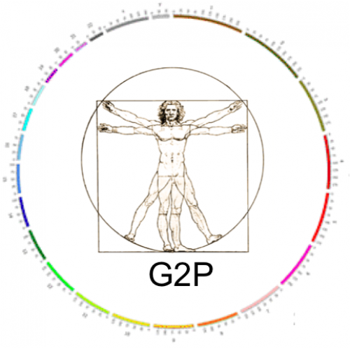 G2P (Gene2Phenotype)